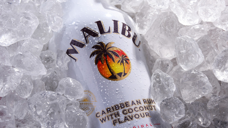 Bottles of Malibu rum in ice