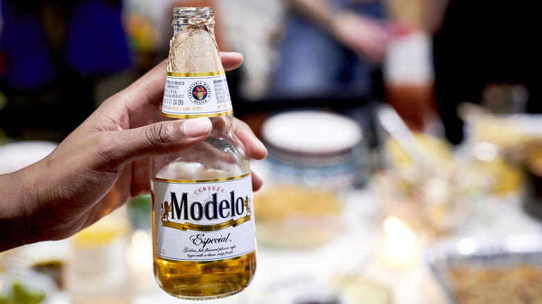 person holding Modelo beer