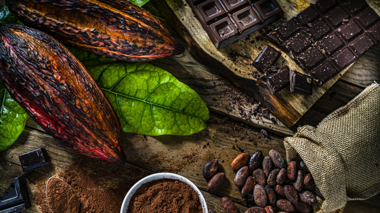 Cocoa powder with cocoa beans and cacao pods.