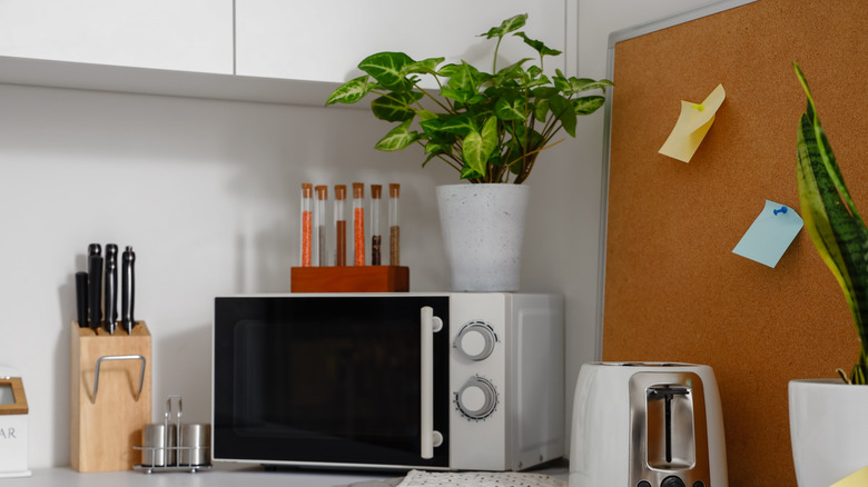 Plant pot and spice vials on top of microwave on kitchen counter