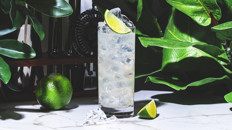 Clear cocktail in highball glass with lime wedge, a lime on the counter and greenery in the background