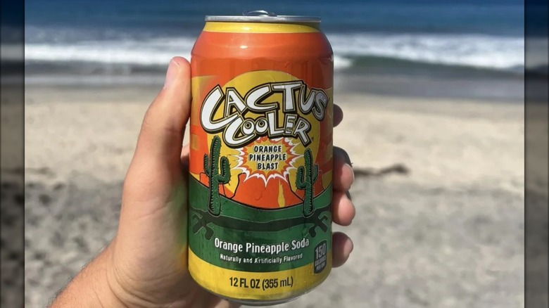 Hand holding a can of Cactus Cooler in front of a beach