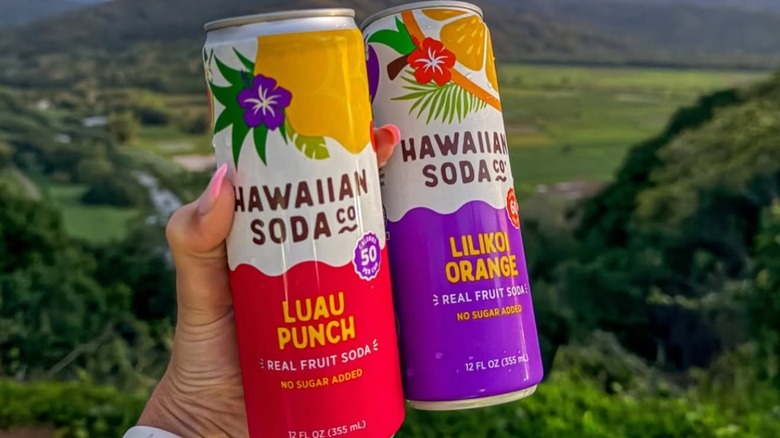 Hand holding cans of Hawaiian Soda Co. Luau Punch and Lilikoi Orange sodas outdoors
