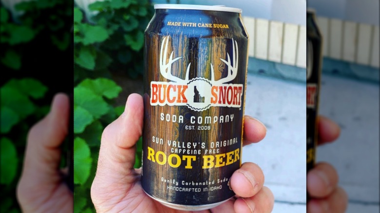 Hand holding a can of Buck Snort root beer in front of outdoor plants