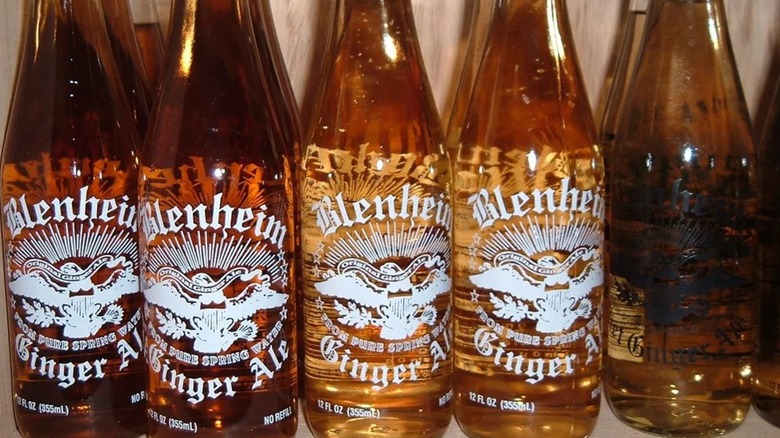 Bottles of different types of Blenheim Ginger Ale