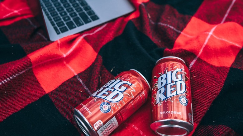 Two cans of Big Red soda lying on a blanket with a laptop