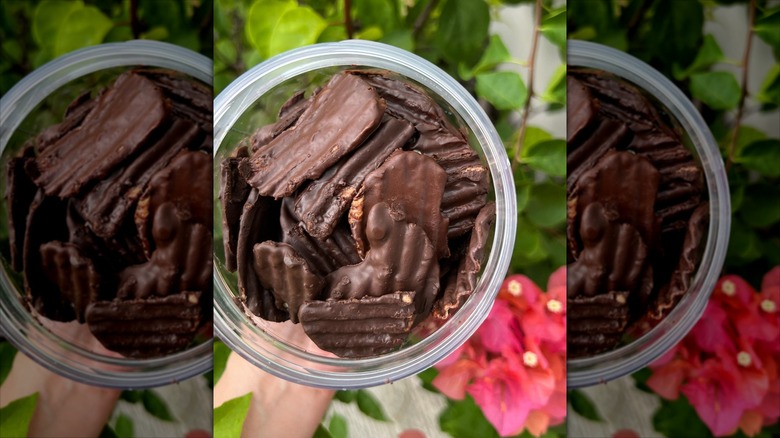 Hand holding jar of dark chocolate covered potato chips