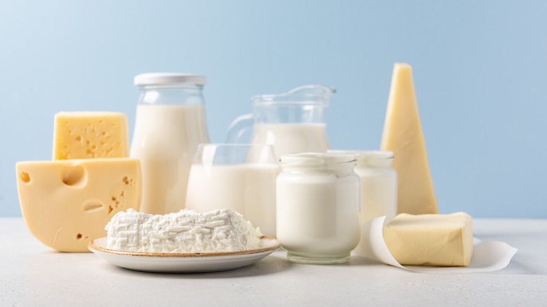 Assorted dairy products with a blue background