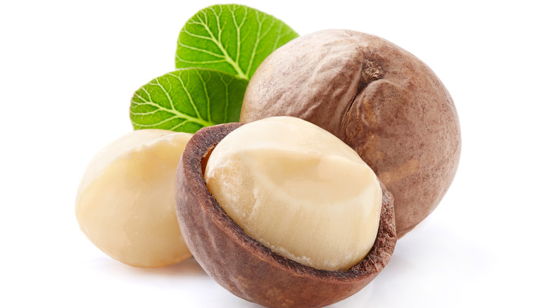 Macadamia nut in cracked shell