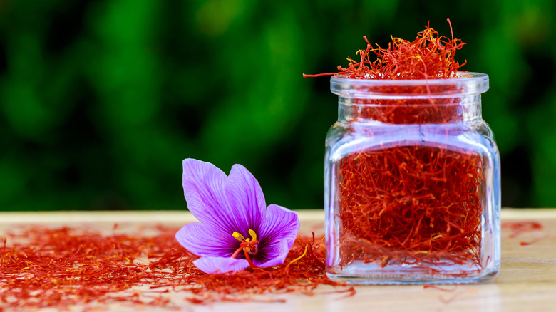 Saffron spice and flower