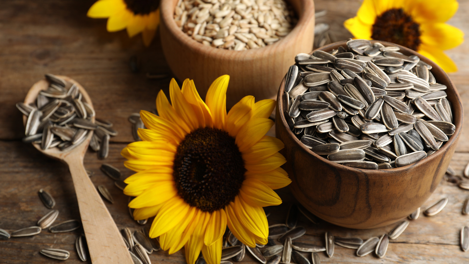 Most Of The World's Sunflower Seeds Come From These 21 Countries