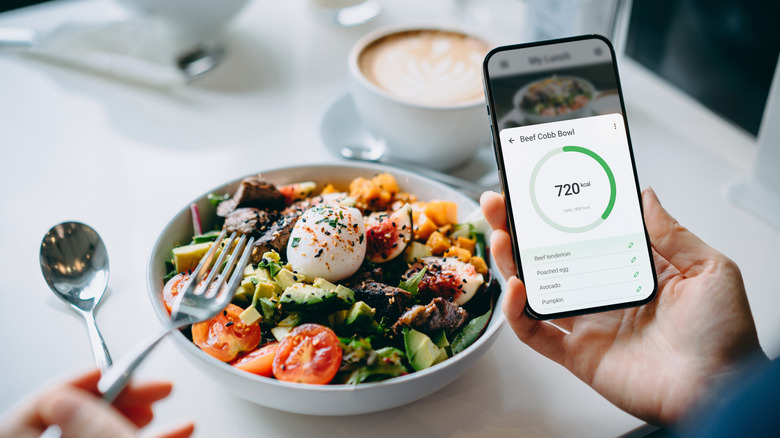 A person sits in front of their meal, holding a fork in one hand, and a phone with a diet tracking app in the other