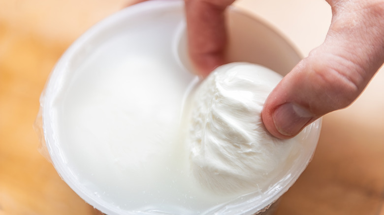 Close-up of person holding mozzarella ball in container of mozzarella water