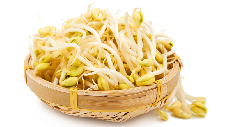 pile of mung bean sprouts