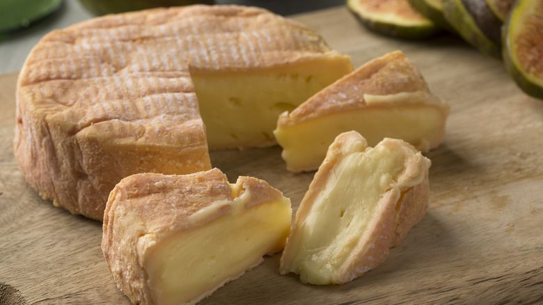 tradition french munster cheese
