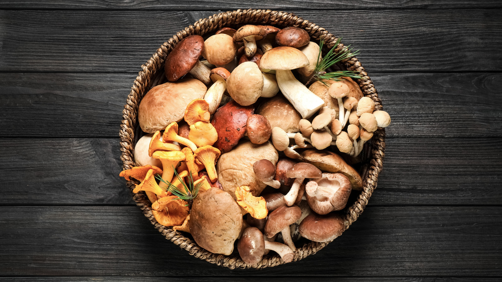 Mushrooms Provide More Nutrients Than You Might Think