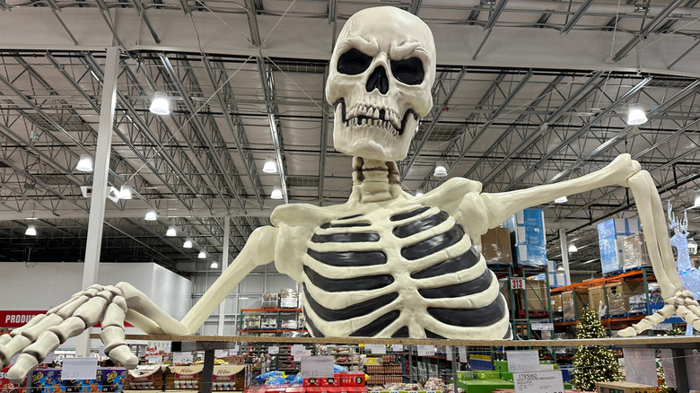 Costco giant skeleton Halloween display
