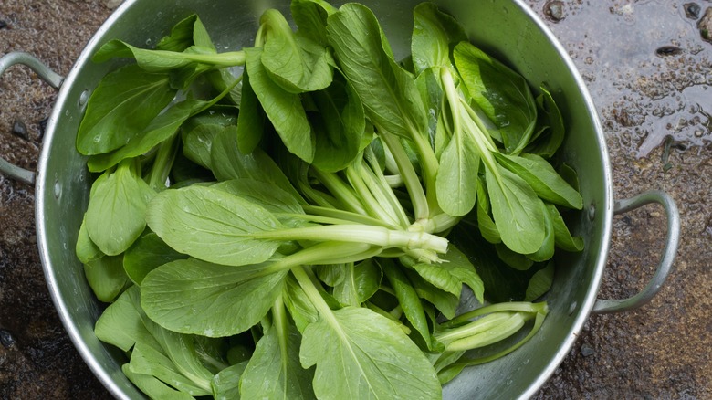 mustard greens in colander