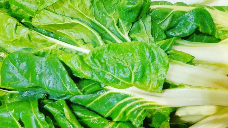 mustard green leaves