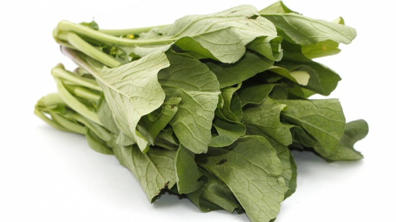 mustard greens white background