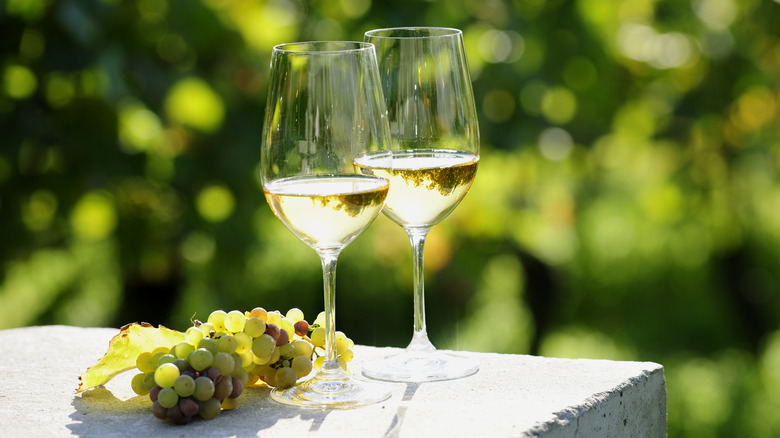 glasses of white wine at vineyard