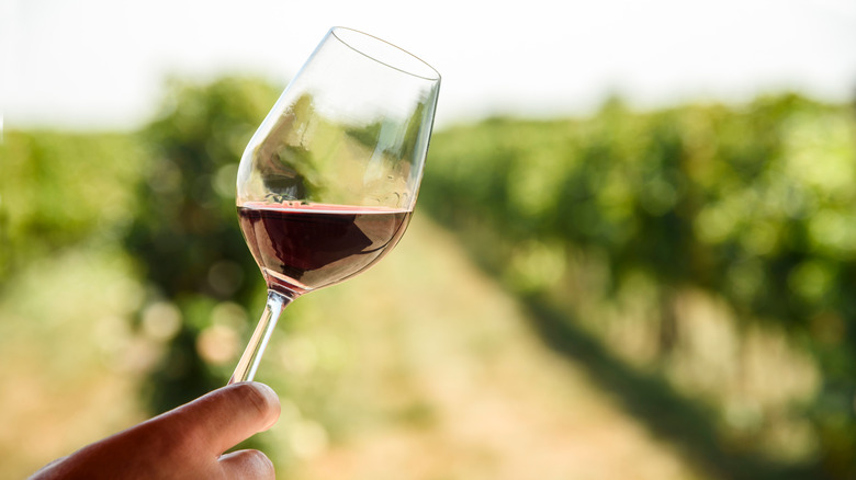 Wine glass in vineyard