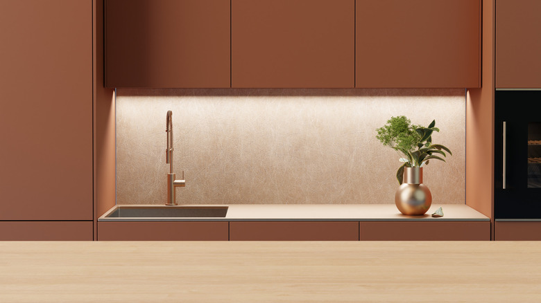 Minimalist kitchen with terracotta cabinets and wooden countertops; a sink and plant
