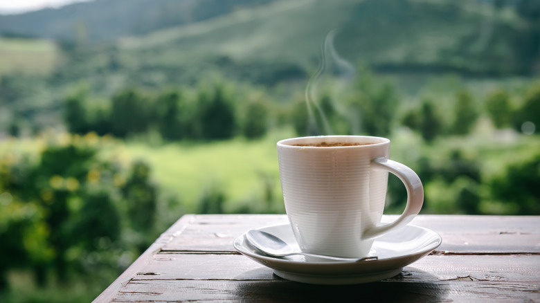 Hot tea steaming with beautiful scenery in the background