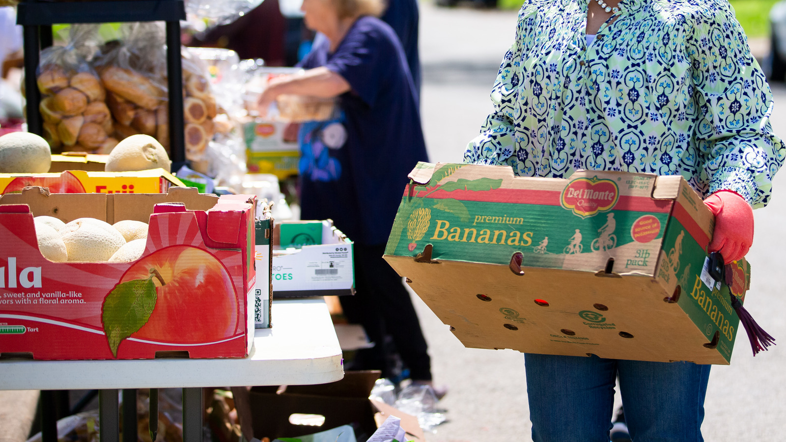 New Feeding America Study Shares - L Intro 1658431199 