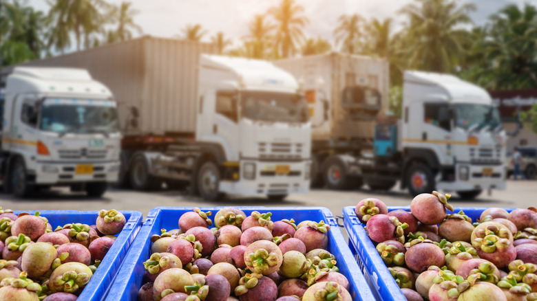 Tropical fruits and shipping vehicles 