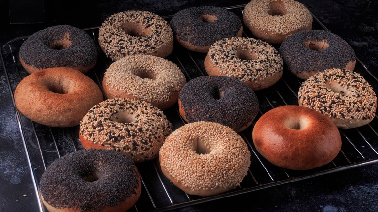 Bagels with seeds crusted on top