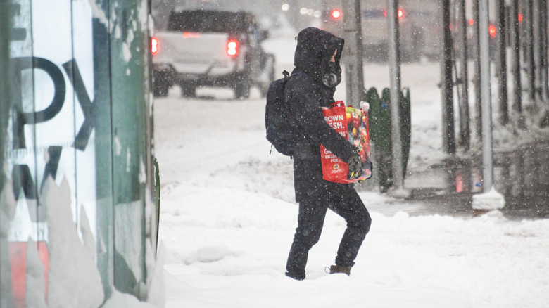 person carries groceries, snow