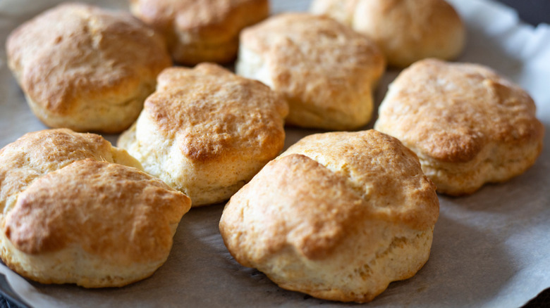 display of sourdough biscuits