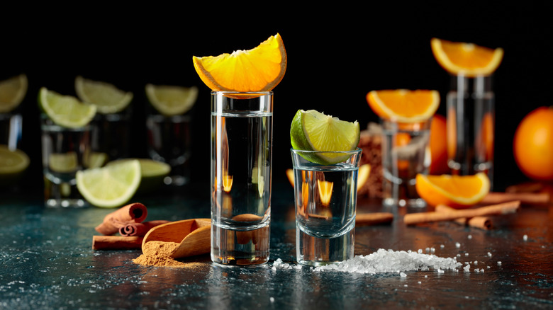 Different tequilas in shot glasses with fruit and spices alongside