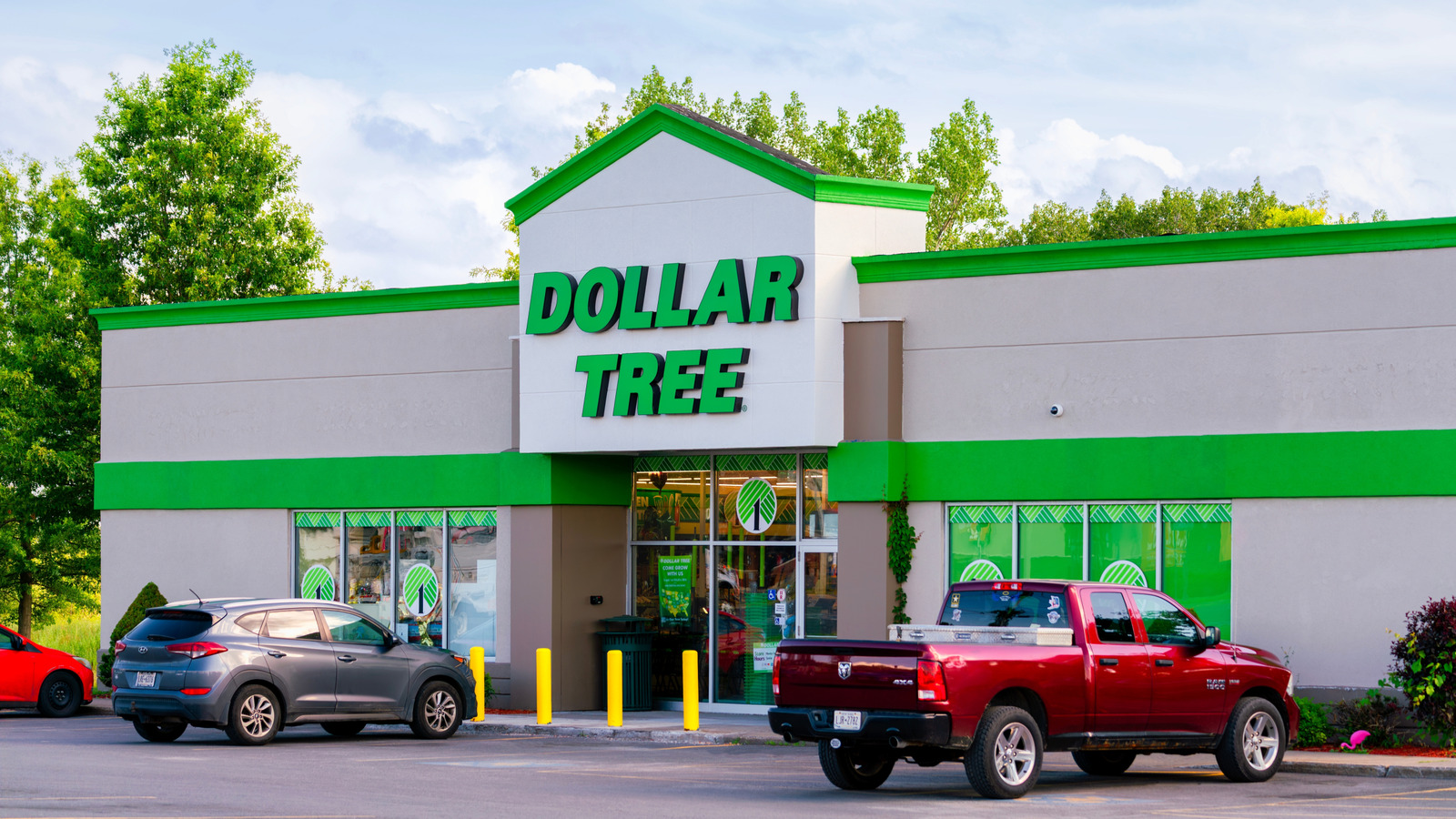 'Nine Dollars Is Insane' - Dollar Tree Shoppers Weren't Ready For The Price Of This Kitchen Staple - Tasting Table