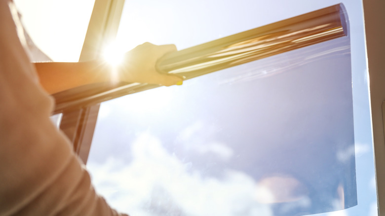 close up of person applying kitchen window film