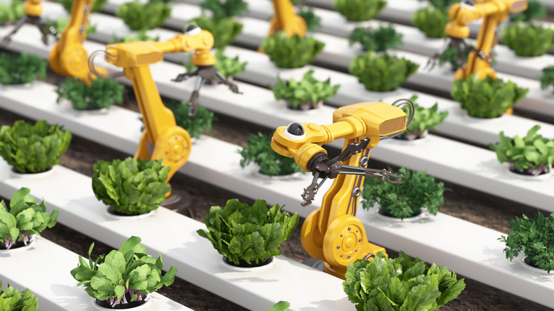 Robots gardening