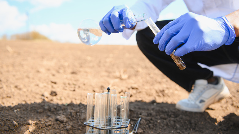 A person wearing purple gloves squats with a beaker to test soil chemistry
