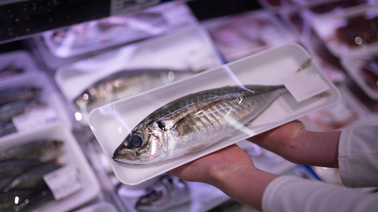 A person holds a whole, packaged fish