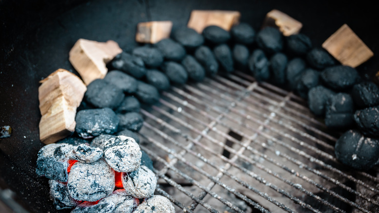 snake of coals in a grill