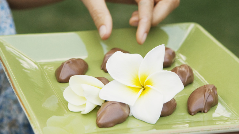 a hand reaching for chocolate-covered macadamia nuts on a green plate with a white plumeria flower