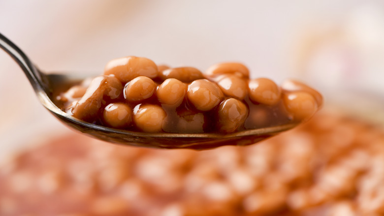 spoonful of canned baked beans