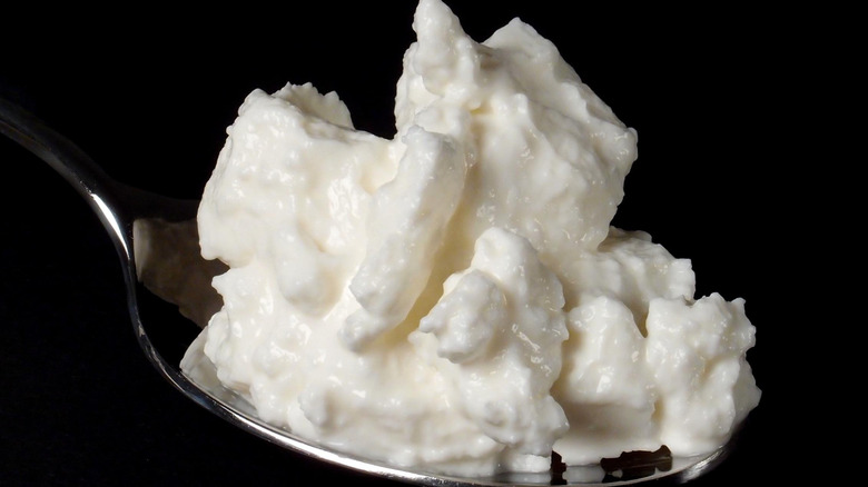 spoonful of quark