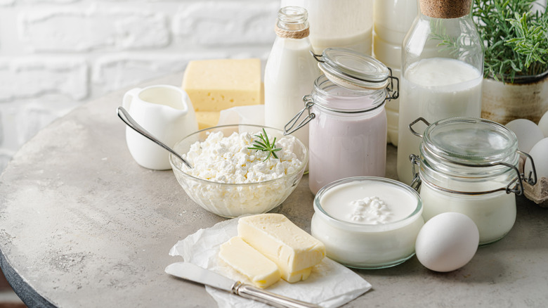 variety of dairy products