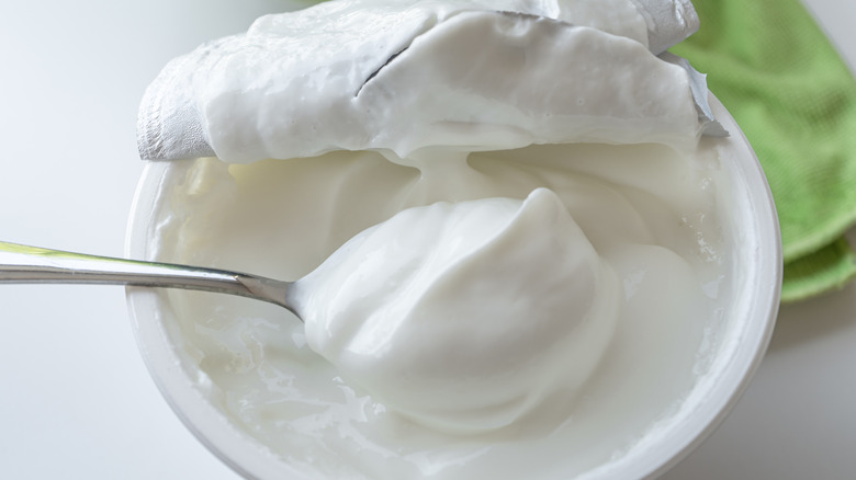 Scoop of Greek yogurt in a container