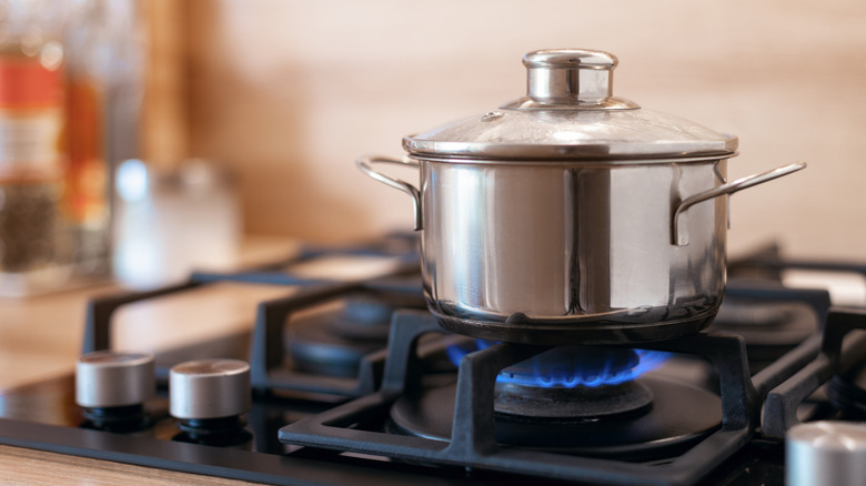 Gas stove in a home kitchen with a stainless steel pot