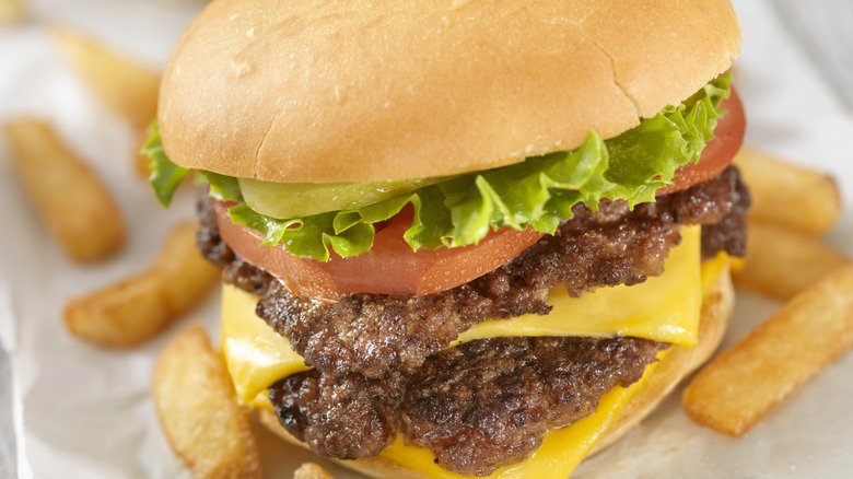 A double cheeseburger and french fries