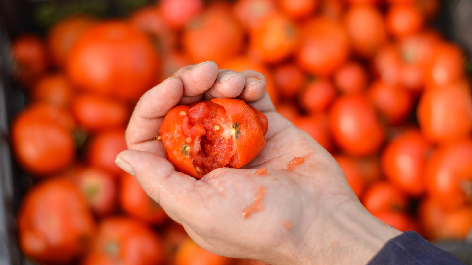 Not HandCrushing Your Canned Tomatoes Is A Big Textural Mistake