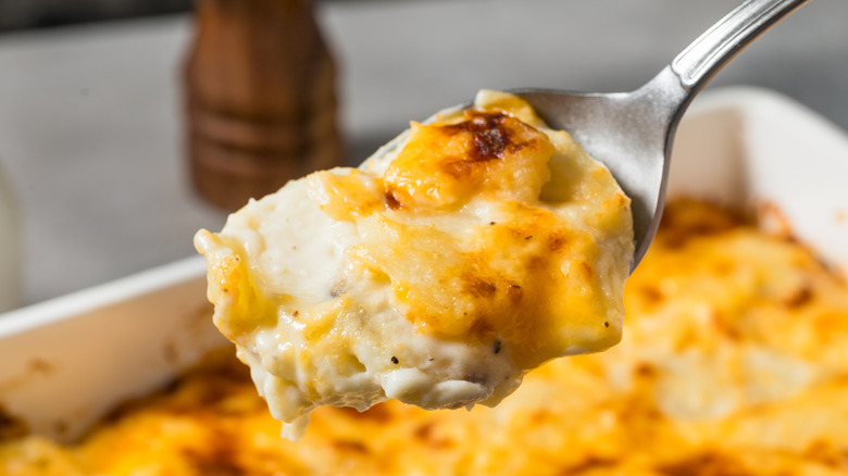 A fork with cheesy scalloped potatoes over a casserole tray containing the dish