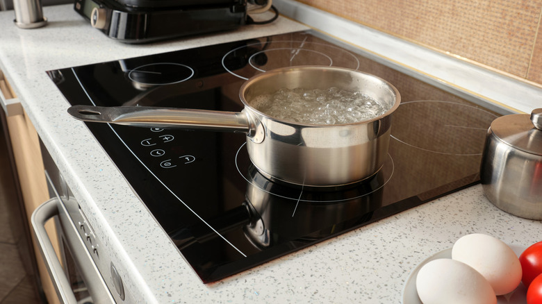 Stainless steel pan full of water boiling on black induction stovetop